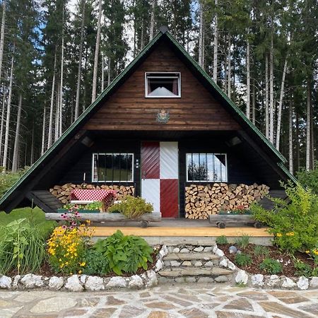 Berghuette Waldheimat Villa Ratten Kültér fotó